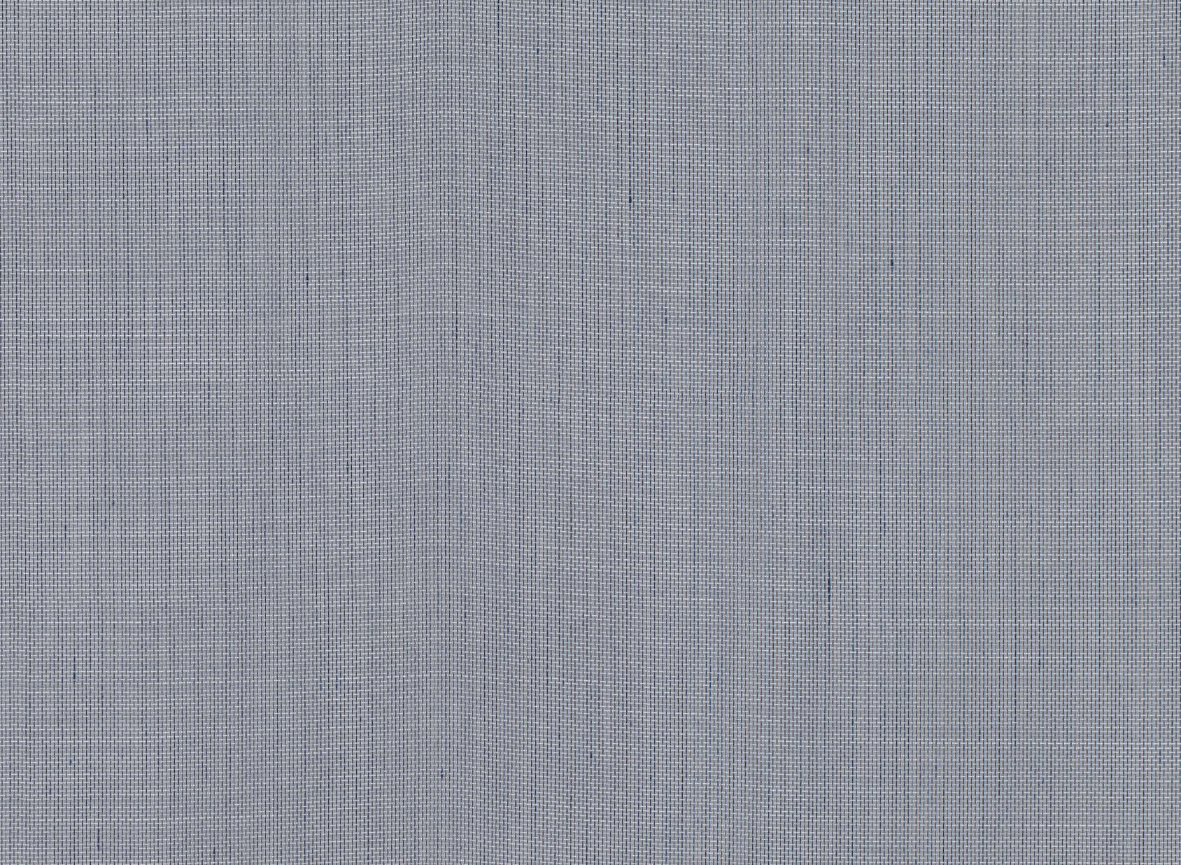Arlon Agapanthus V3258-12