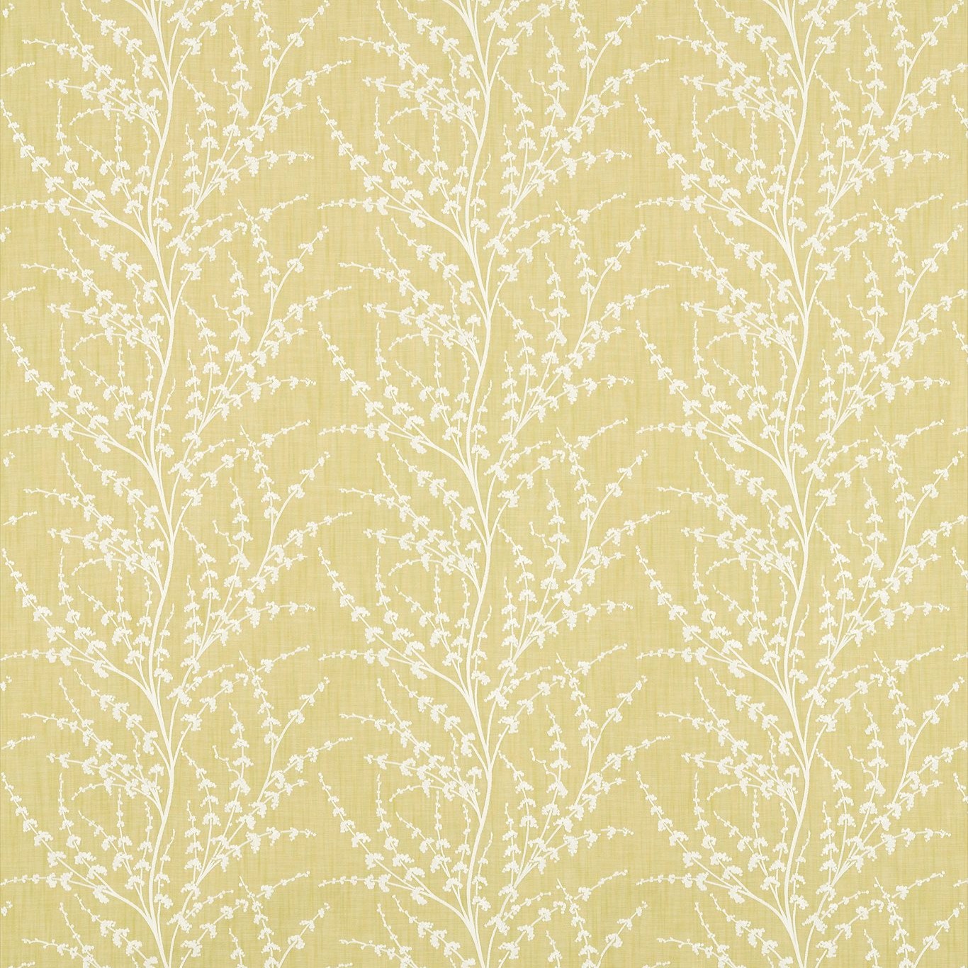Armeria Trail 236675
