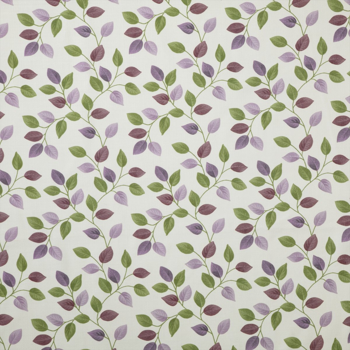 Arncliffe Plum