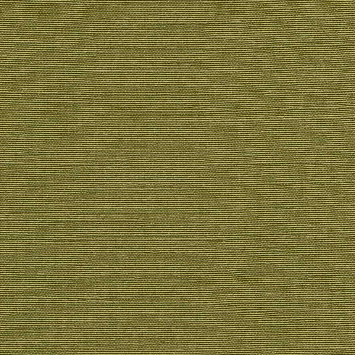 Agave 90531