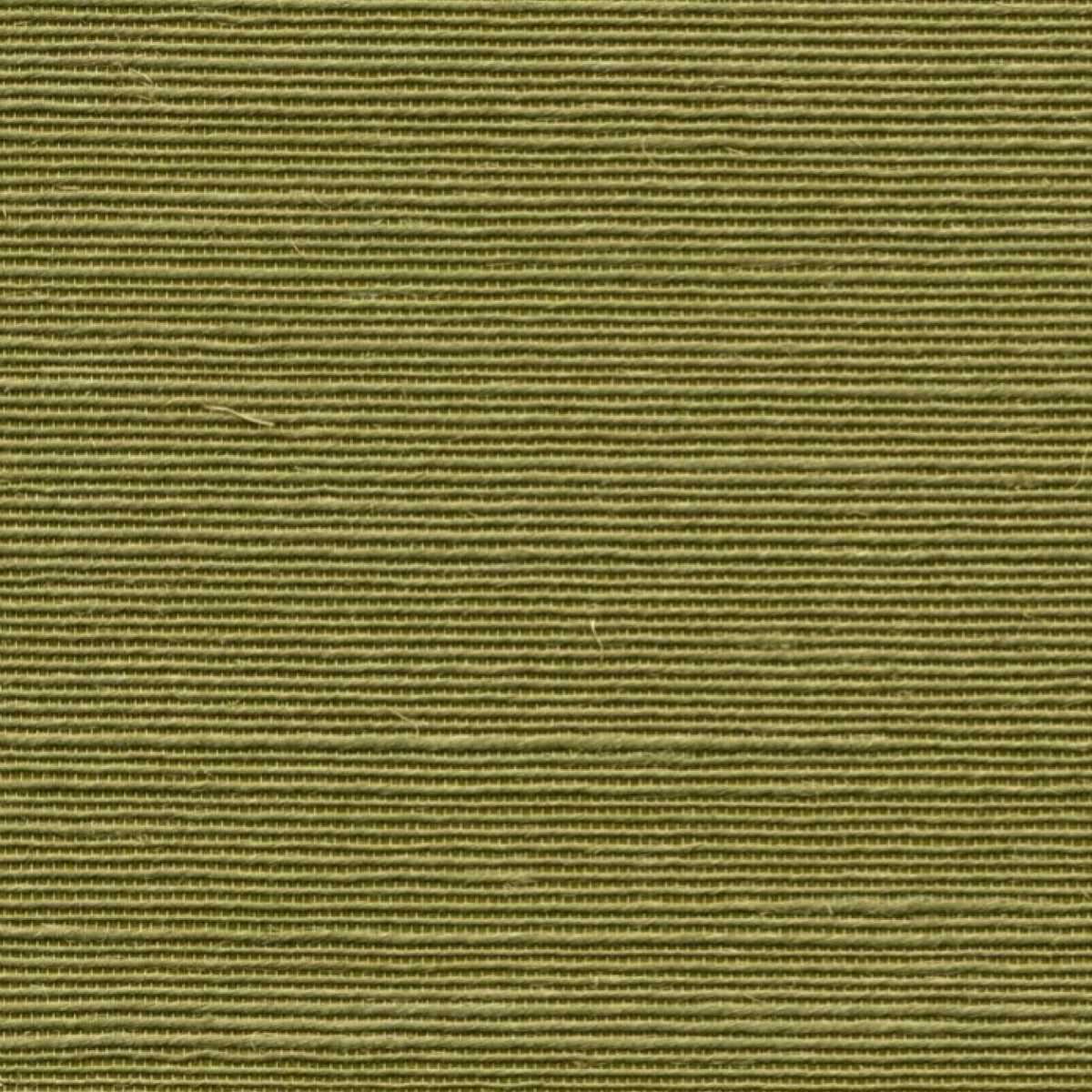 Agave 90531A