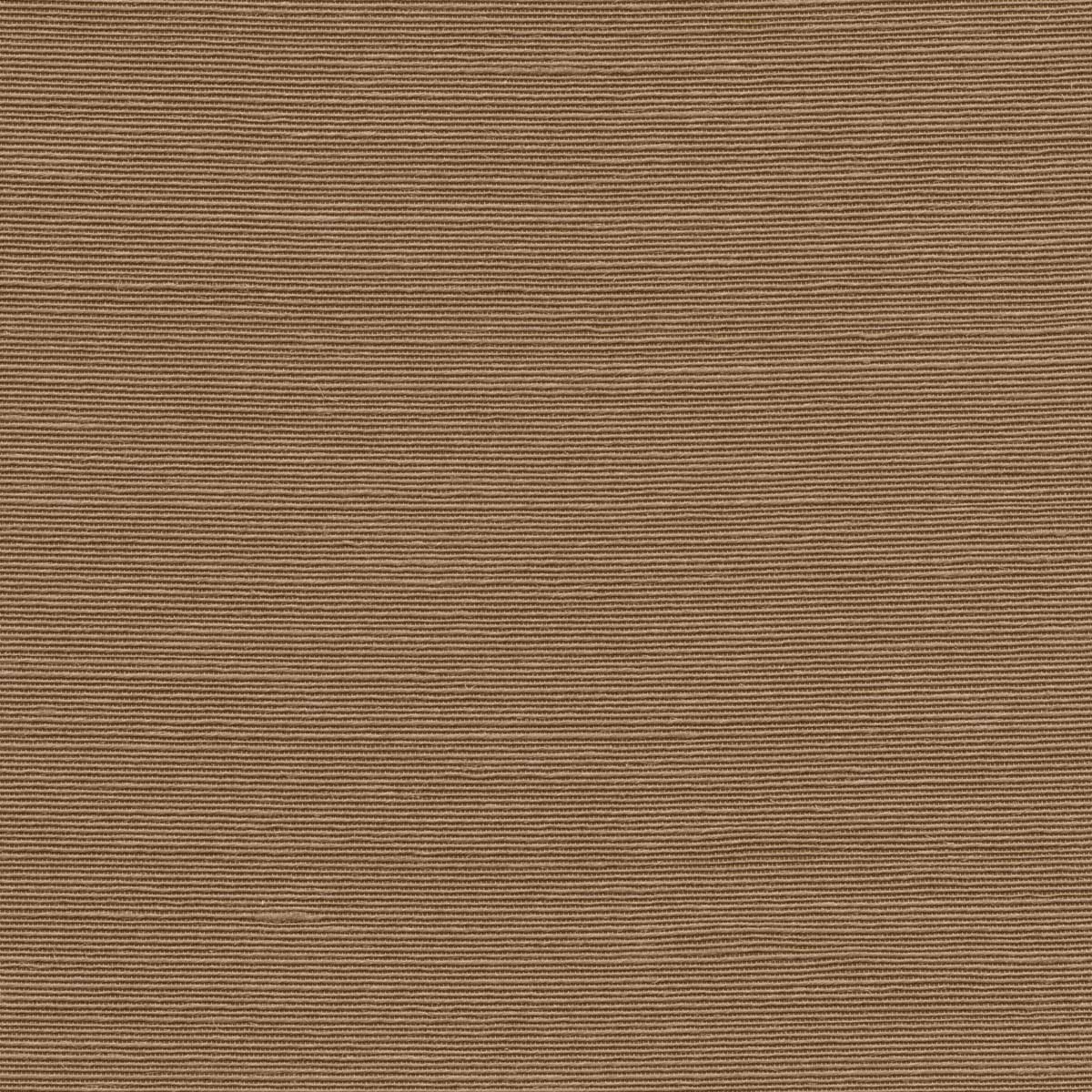Agave 90535