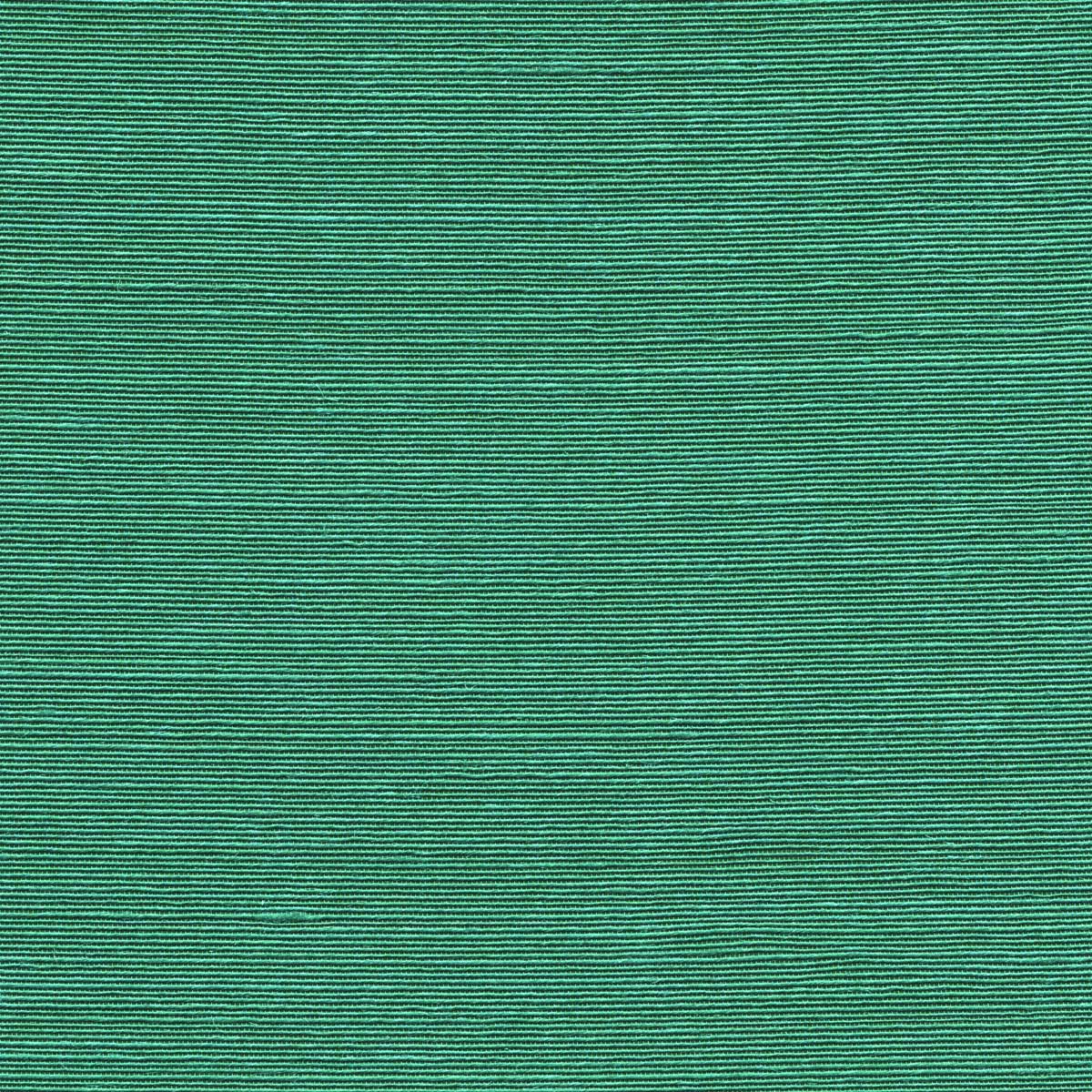 Agave 90537