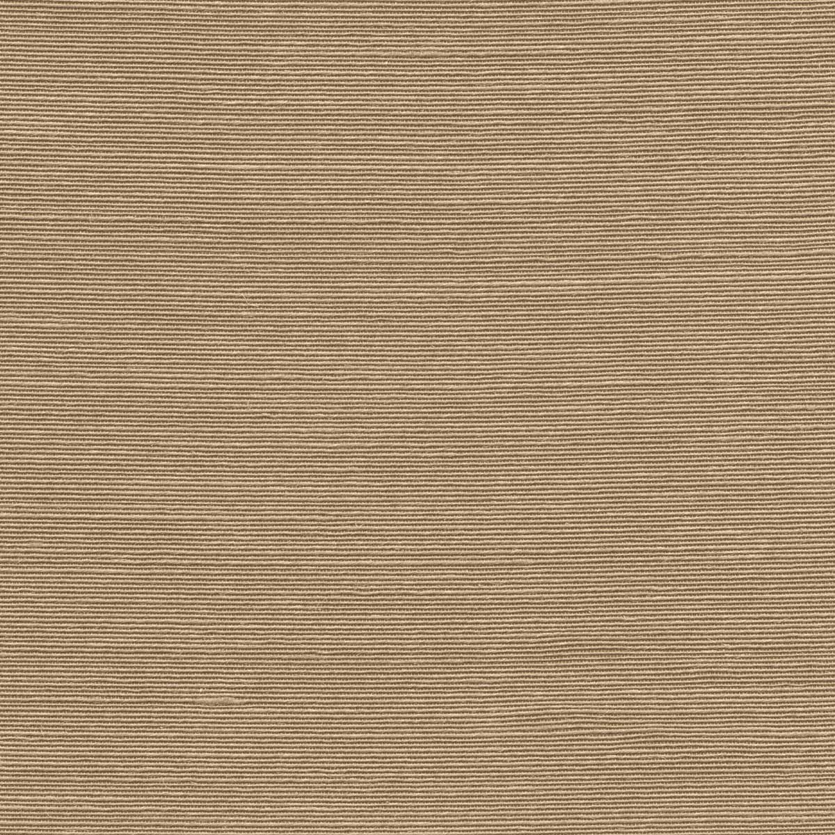 Agave 90539