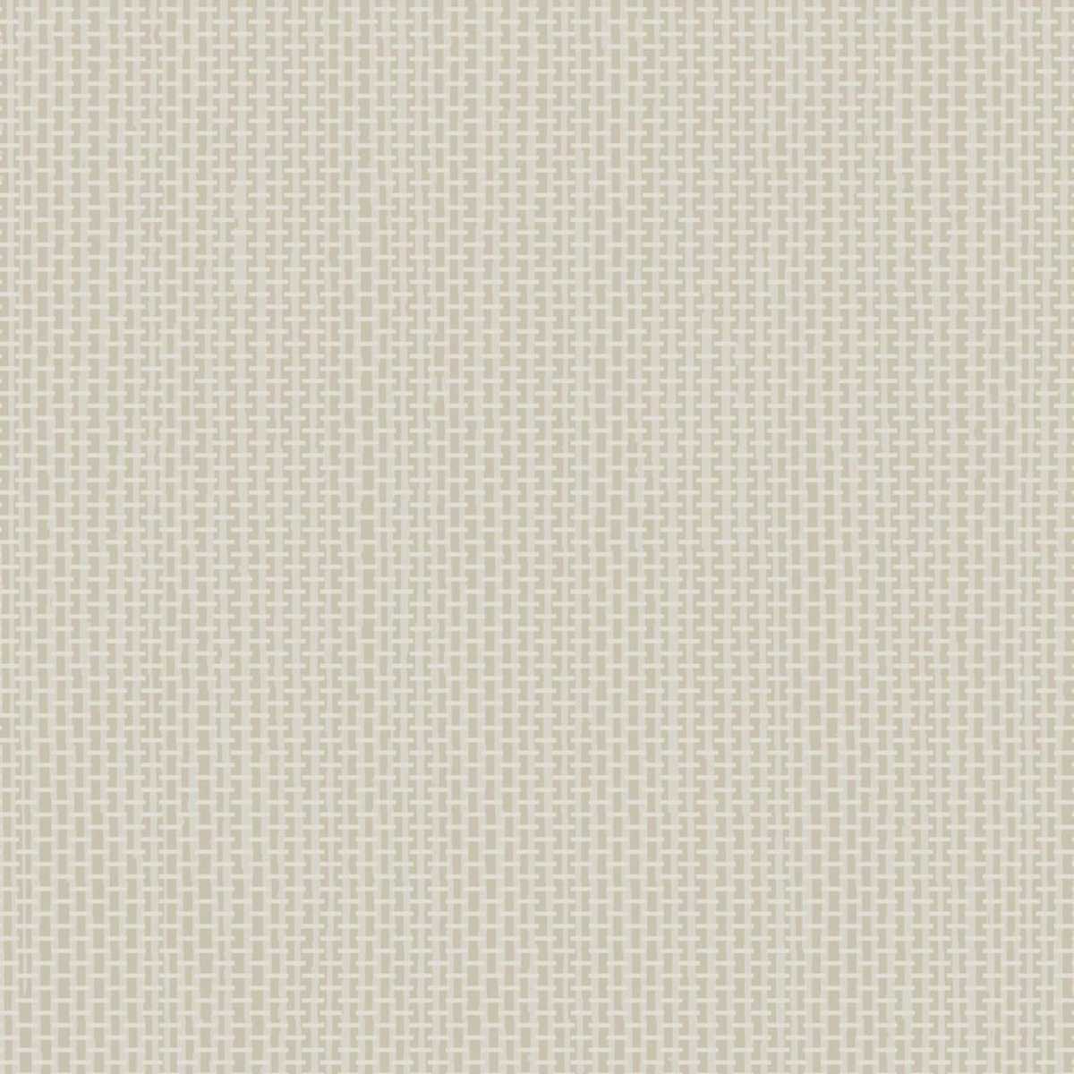 Arundo 67748