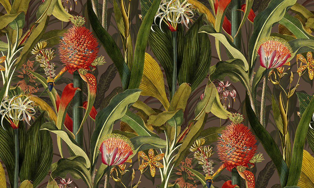 Blooming pineapple 97601