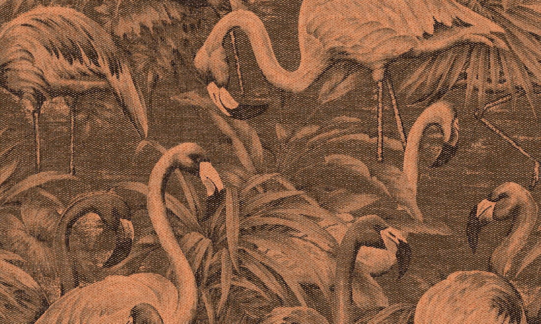Flamencos Andinos 97611