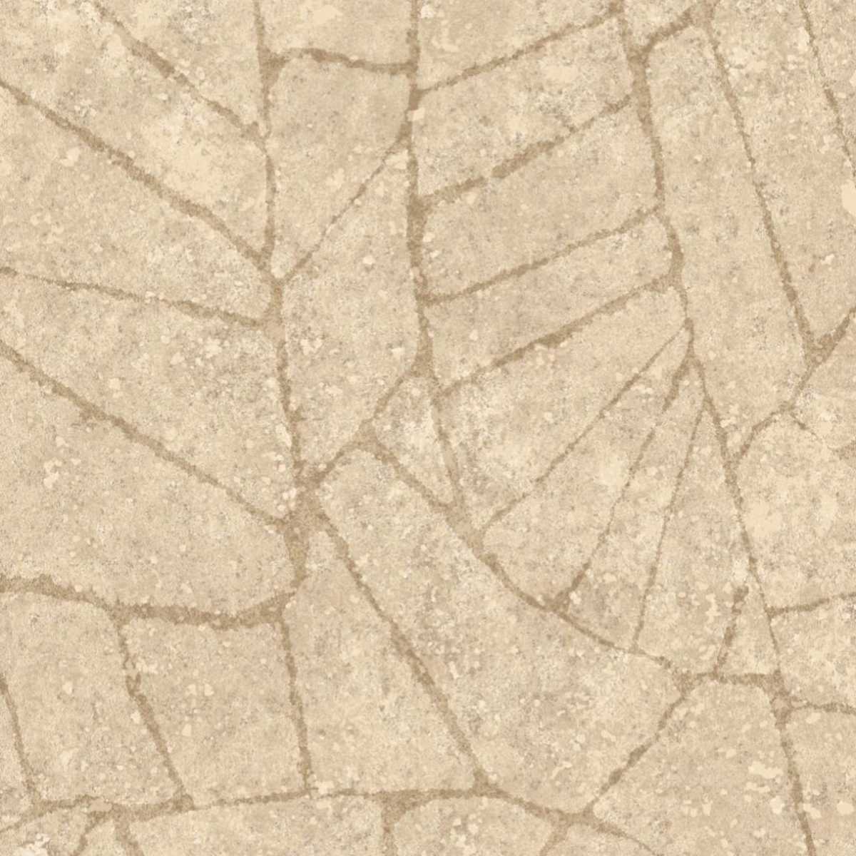 Fragment 30332