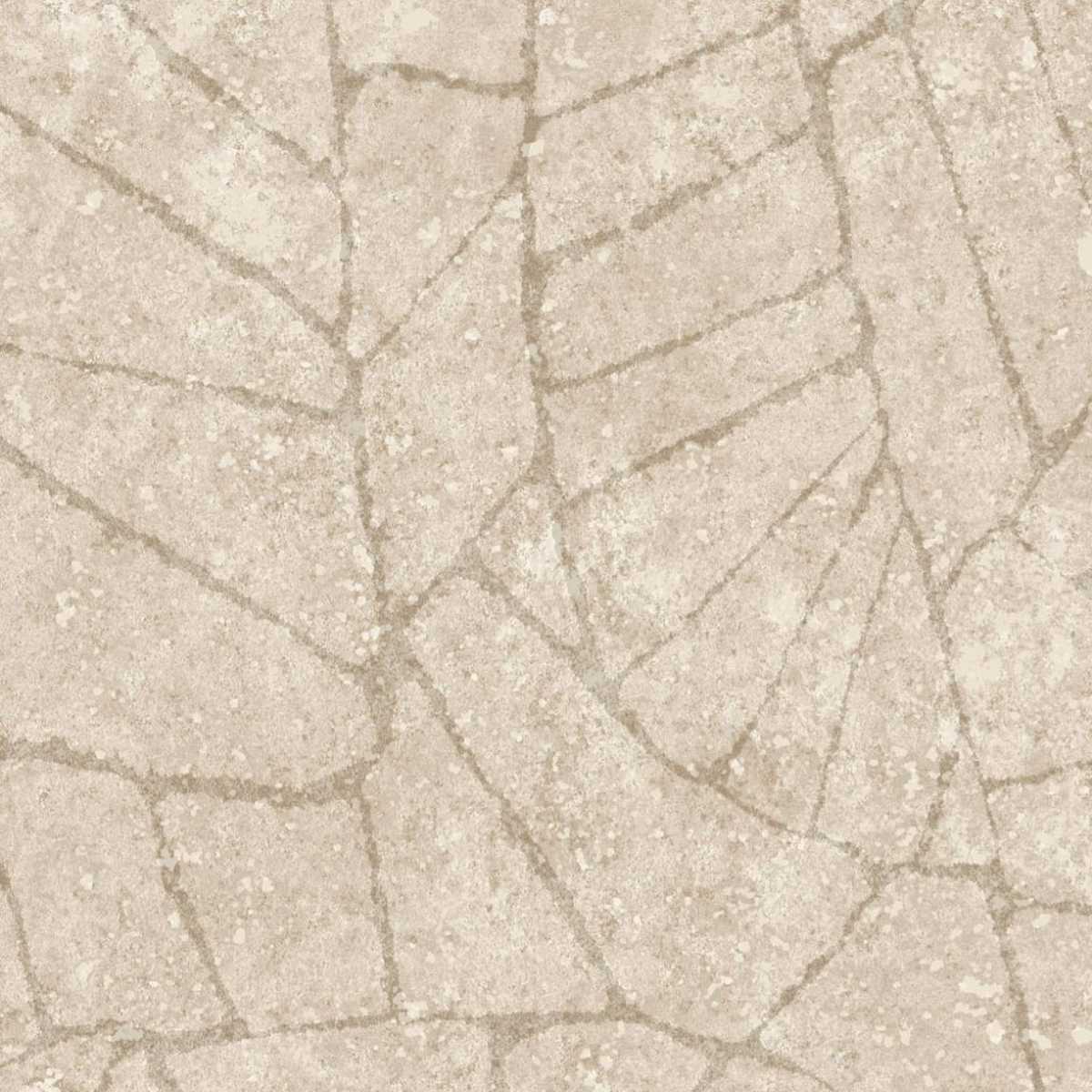 Fragment 30333