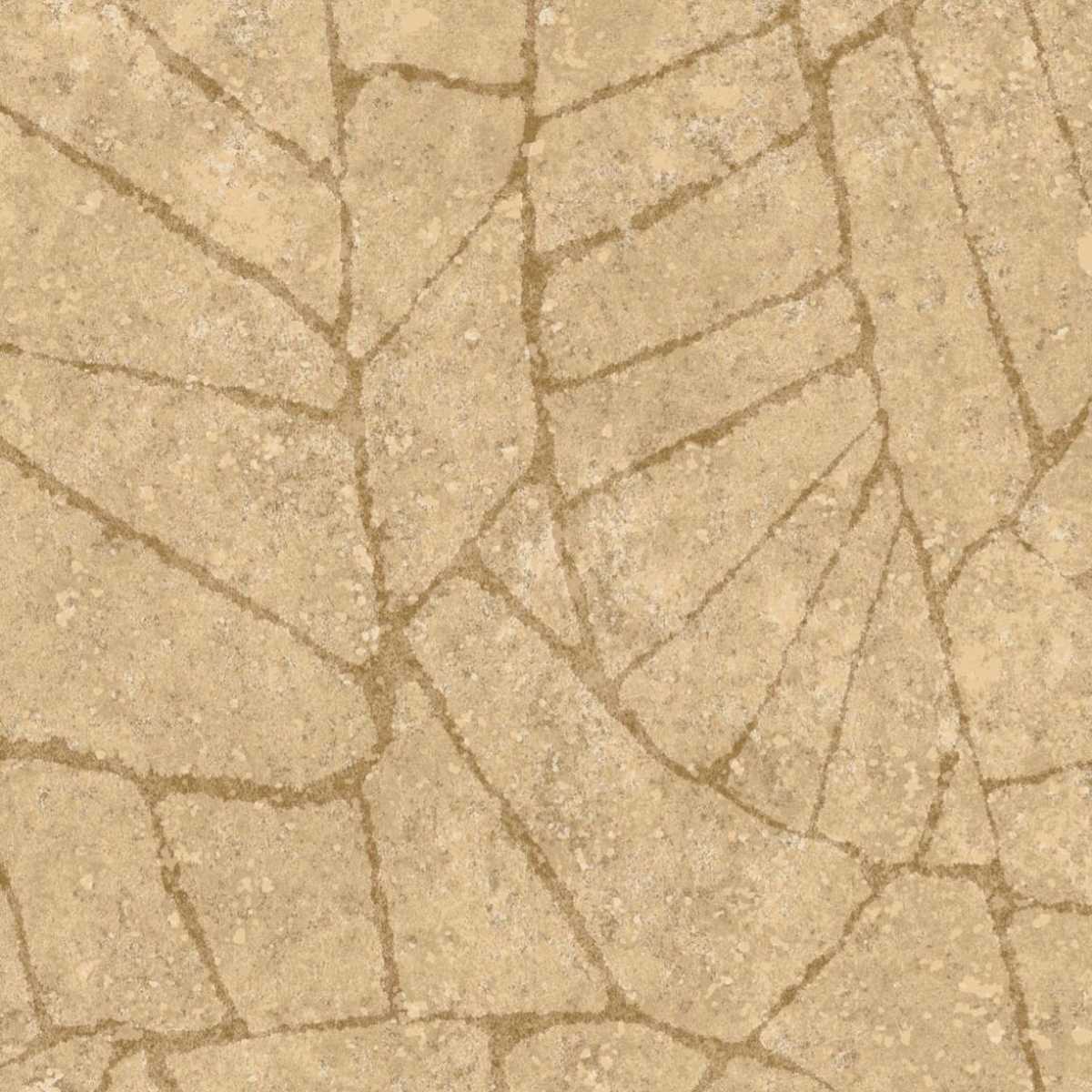 Fragment 30335