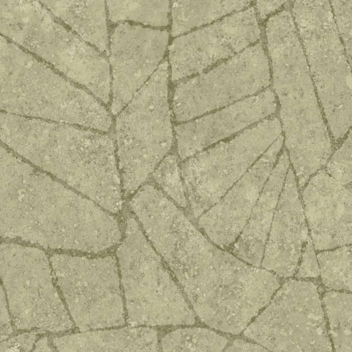 Fragment 30337