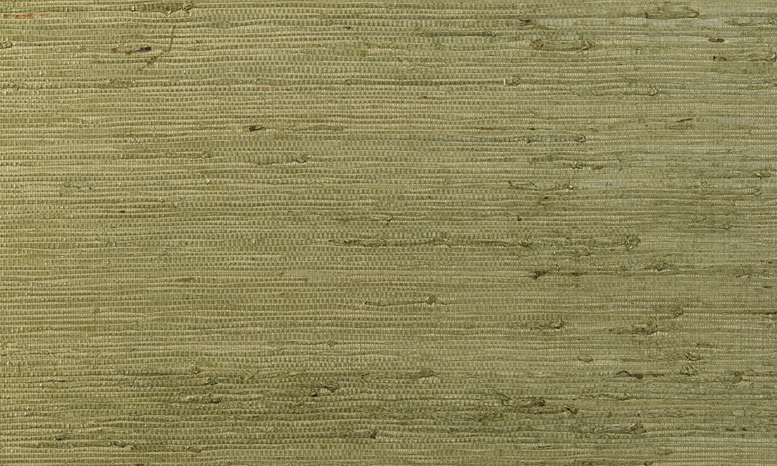 Kudzu 54530