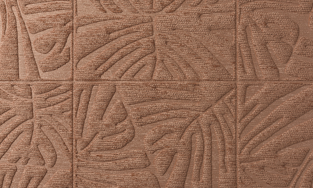 Monstera 43023