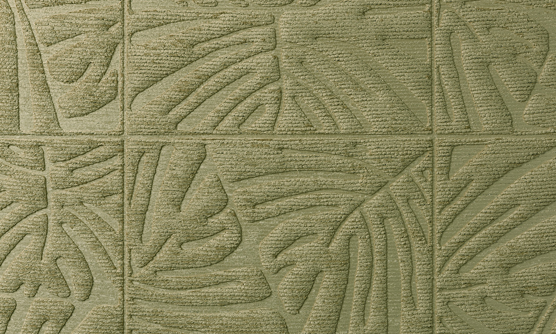 Monstera 43021