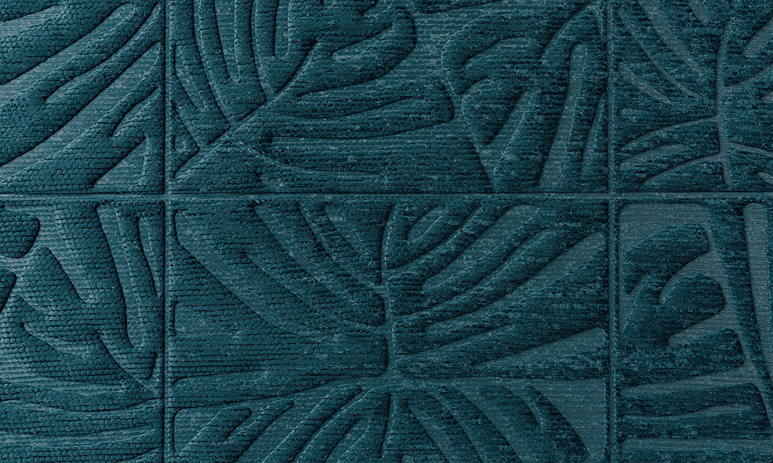 Monstera 43022