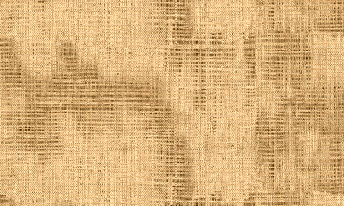 Nongo 49513