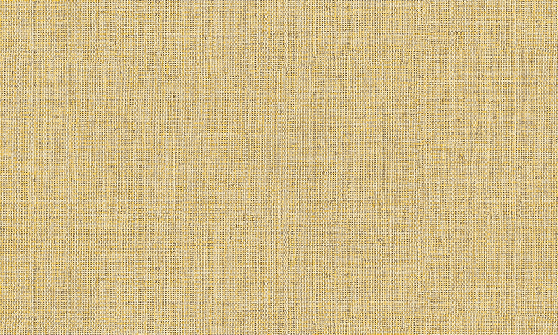 Nongo 49514