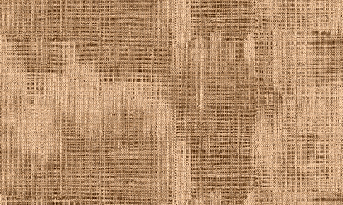 Nongo 49523