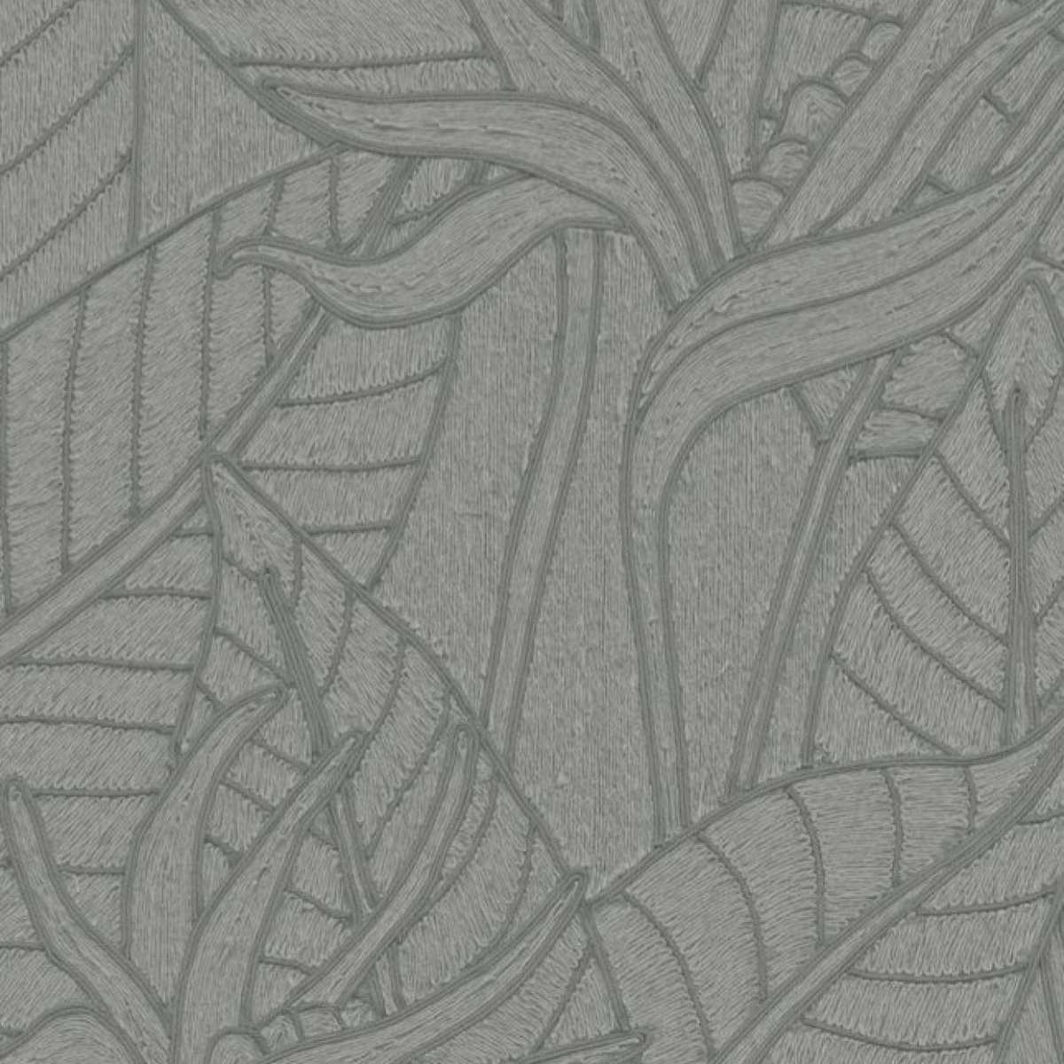 Strelitzia 60751