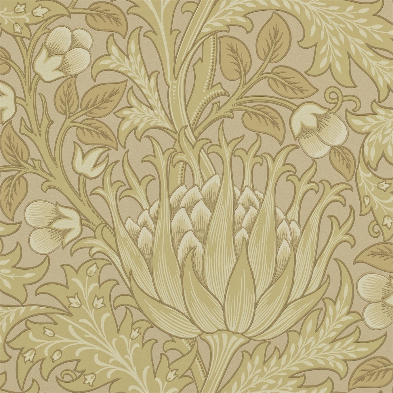 Artichoke 210354