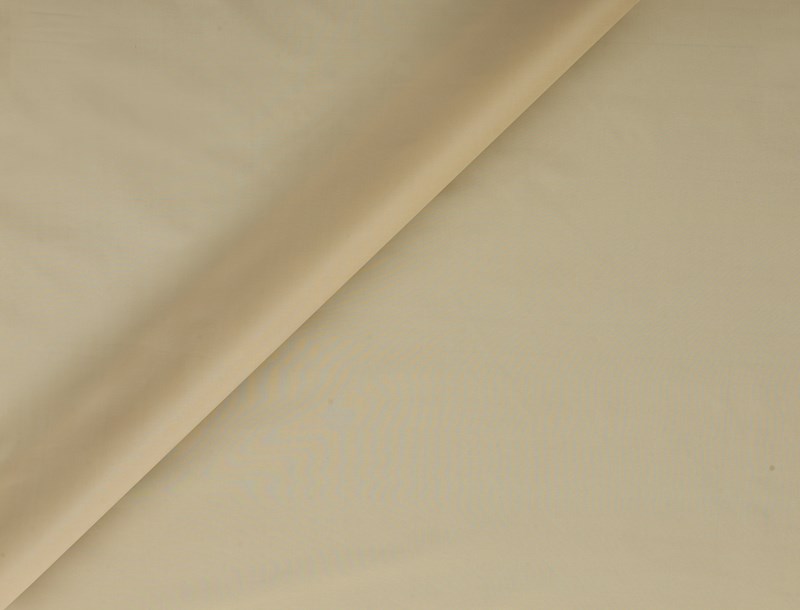 Asaya 3662-06