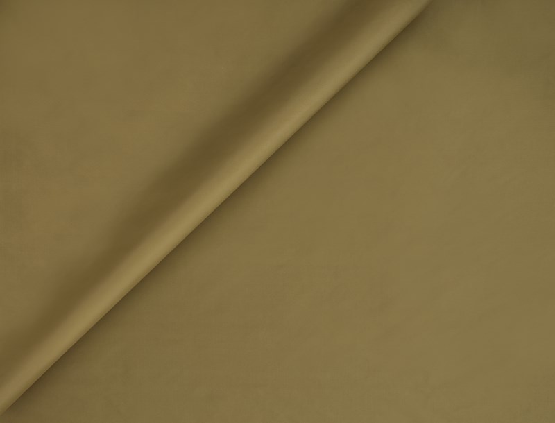 Asaya 3662-32