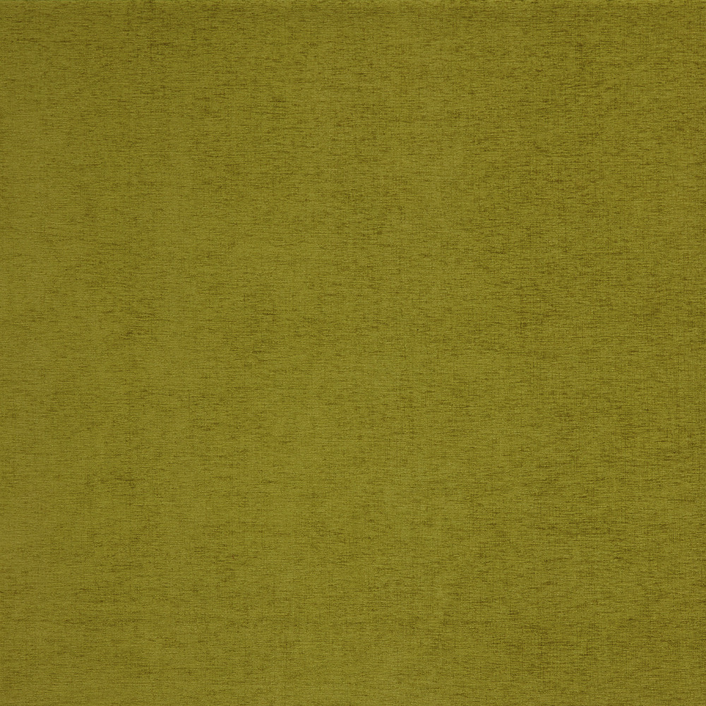 Ashbury Kiwi