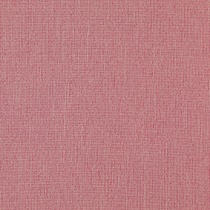 Ashcombe 62 Rose