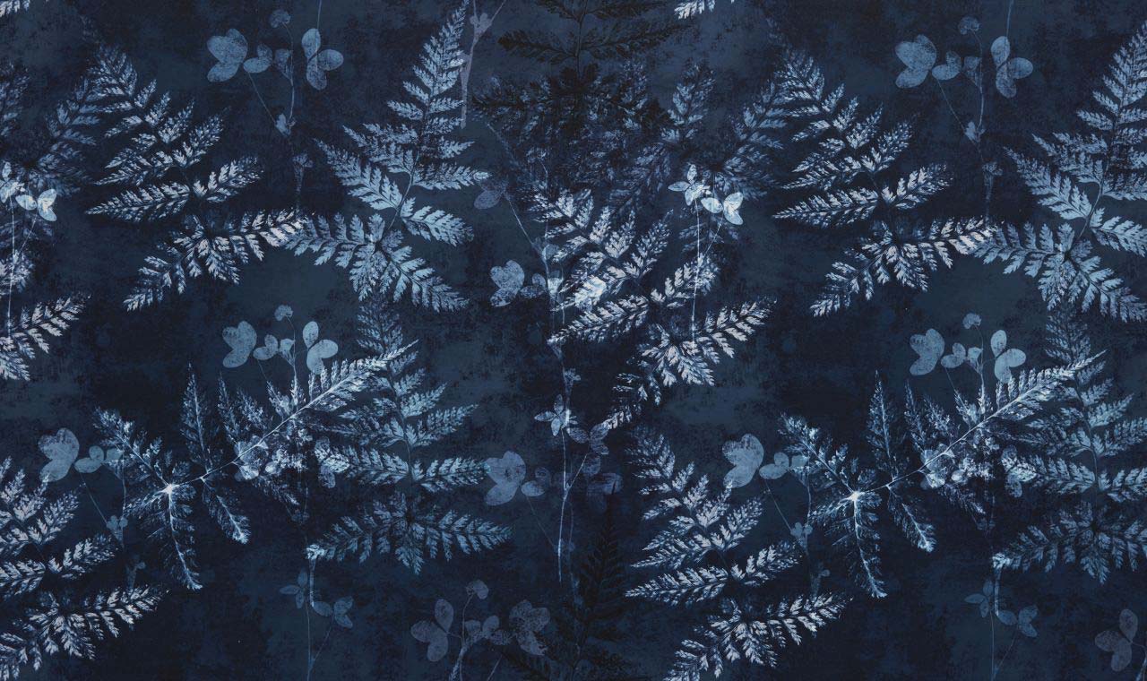 Folium Indigo
