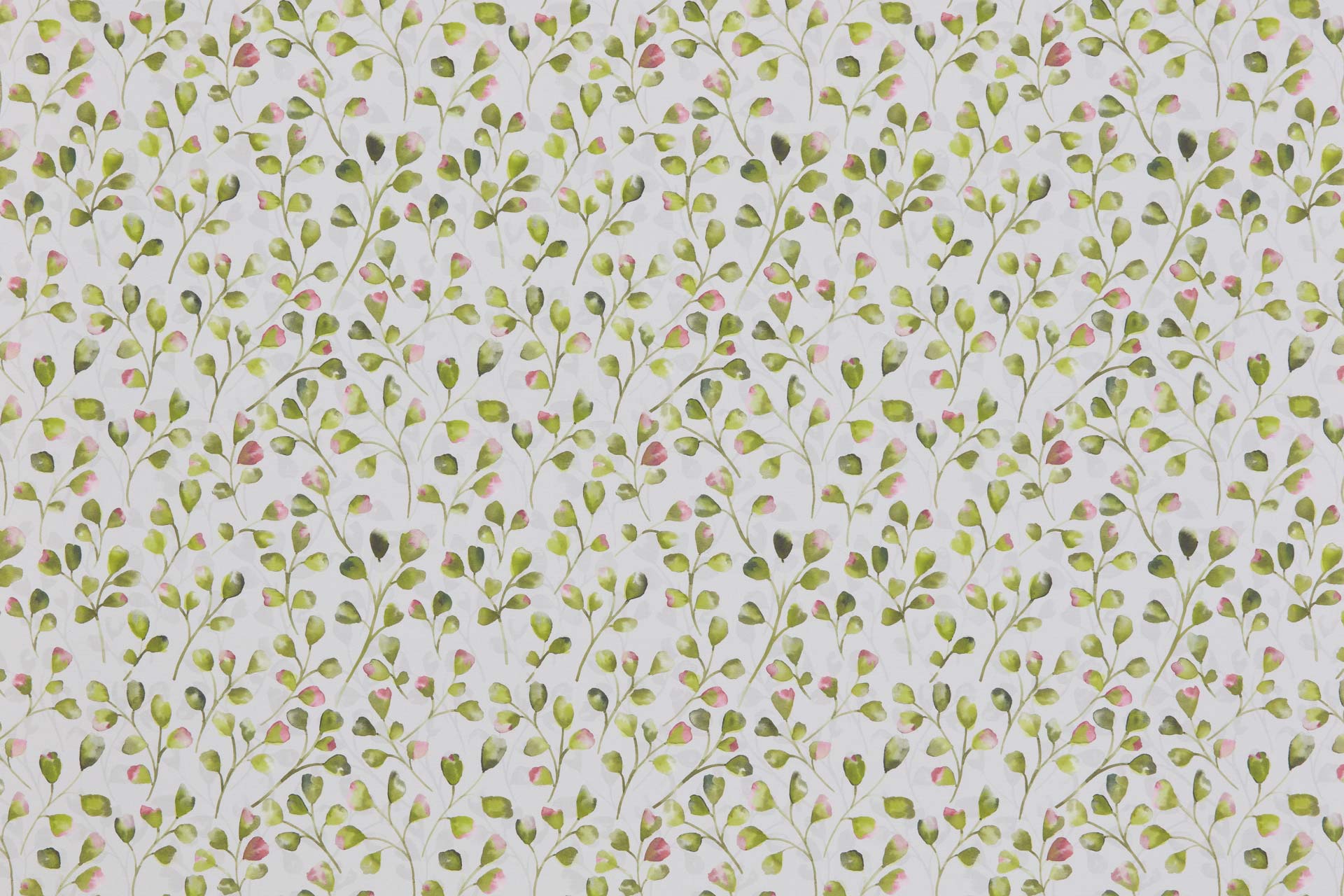 Abbotswick Lime