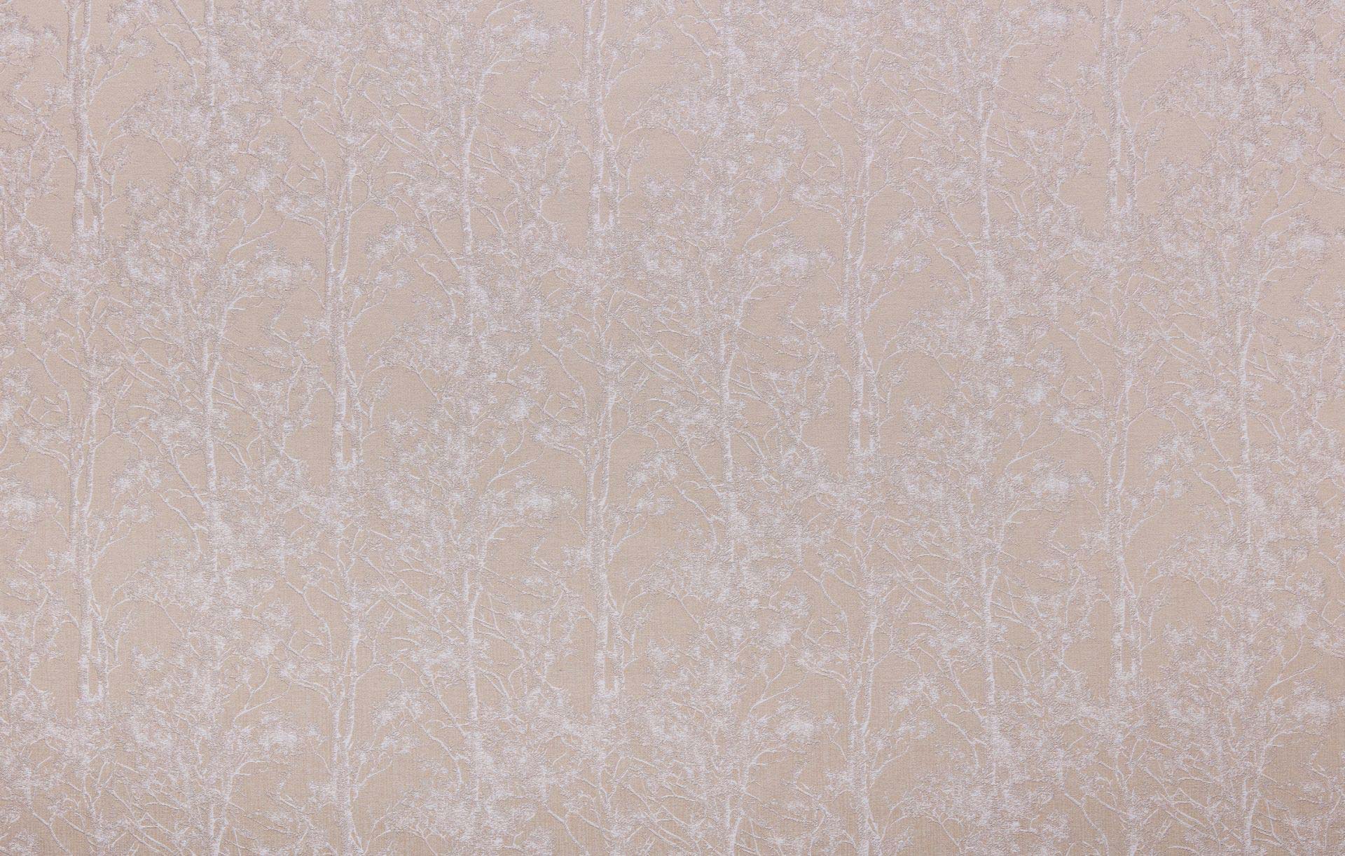 Acacia Shell