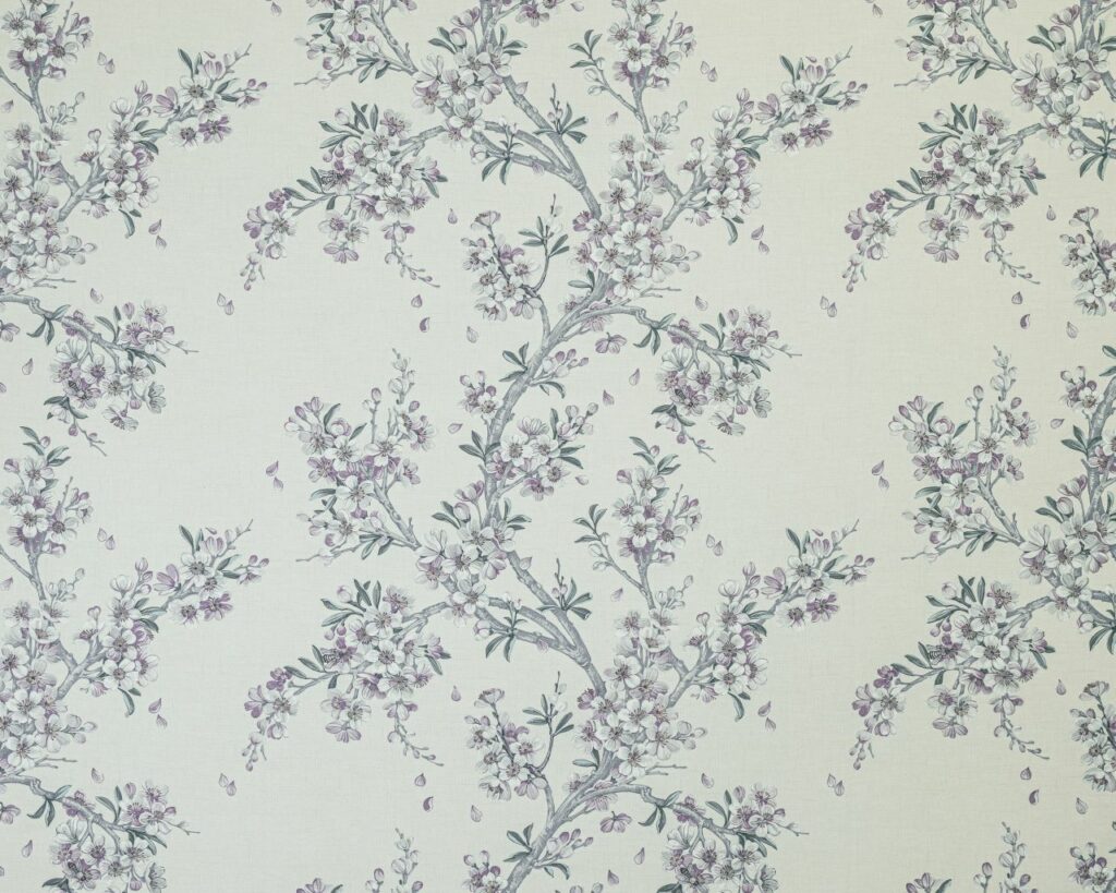 Alix Orchid