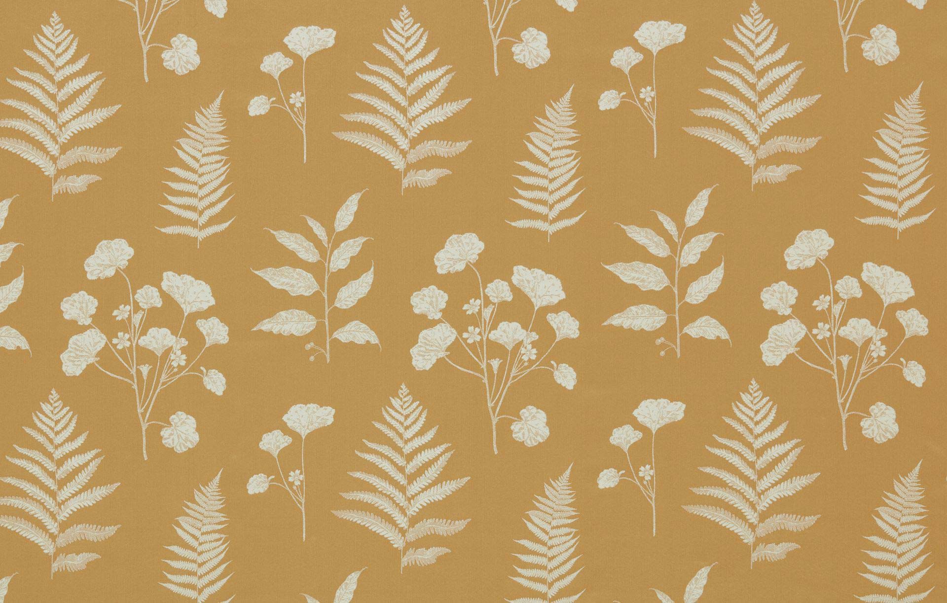 Amaranth Ochre