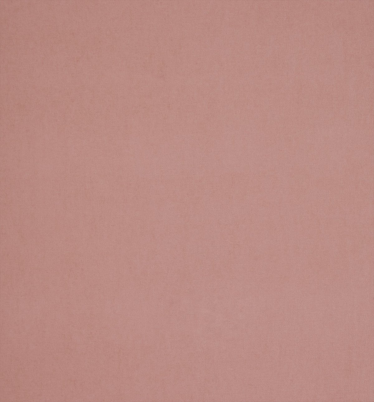 Arezzo Rose