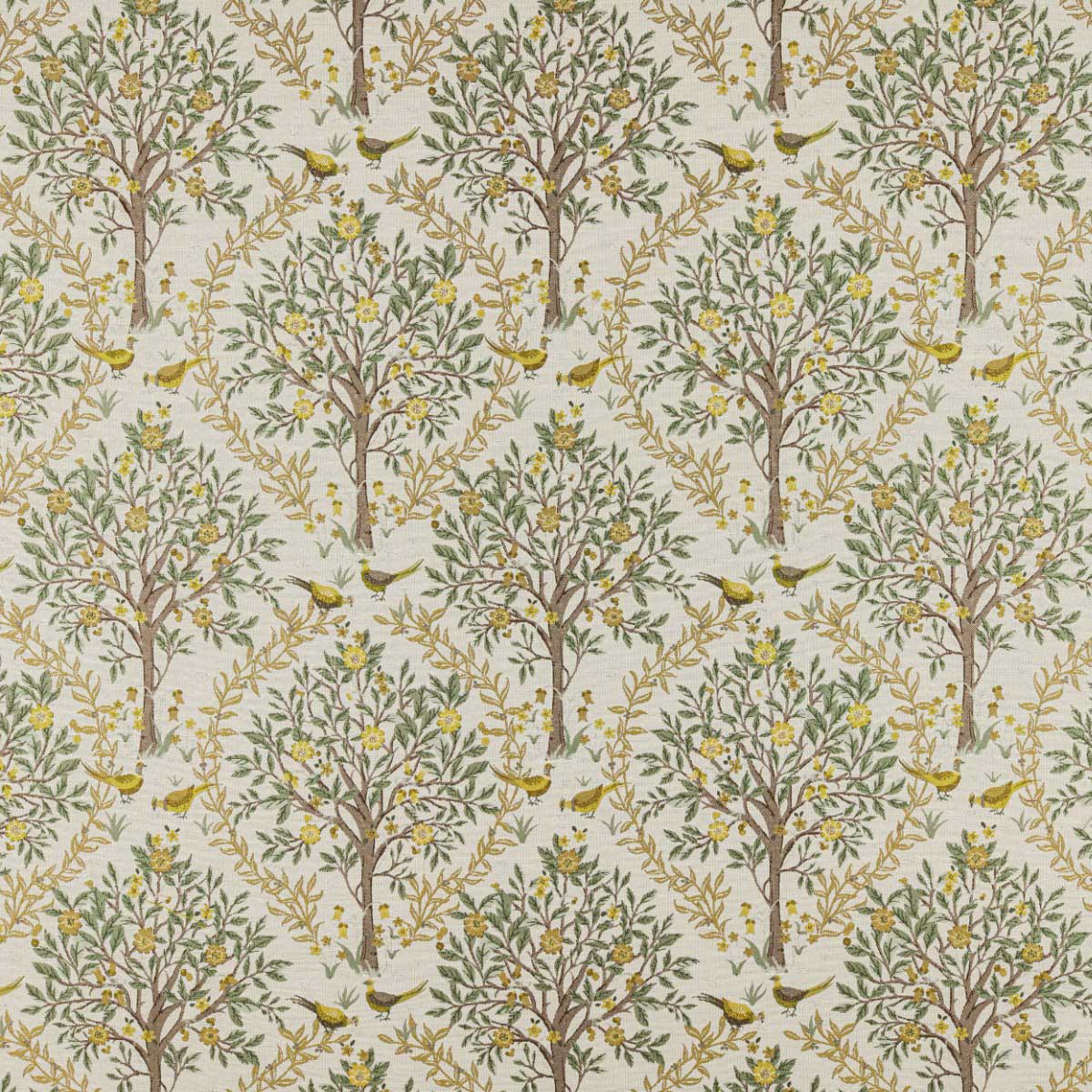 Bedgebury Lemon