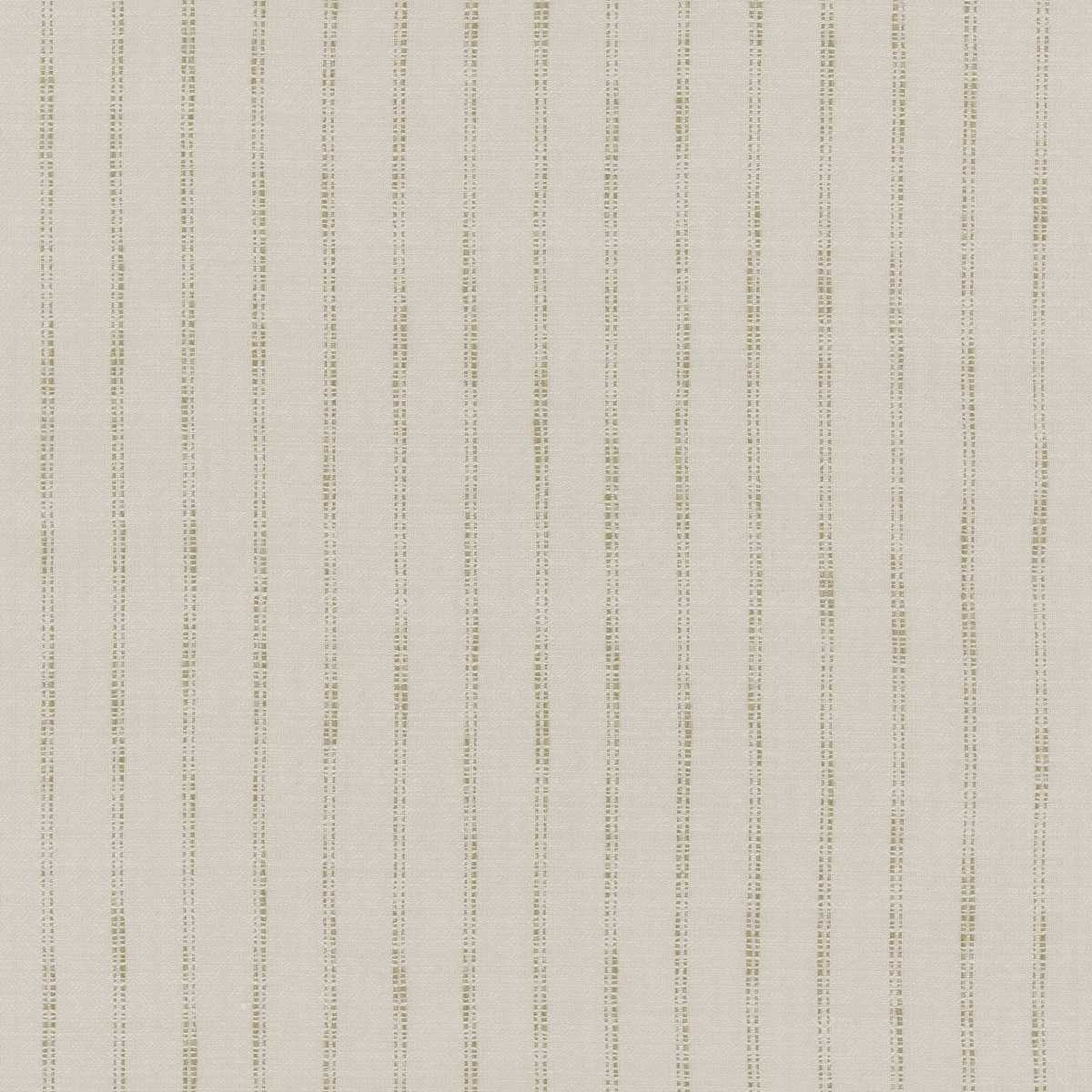 Colette Maize