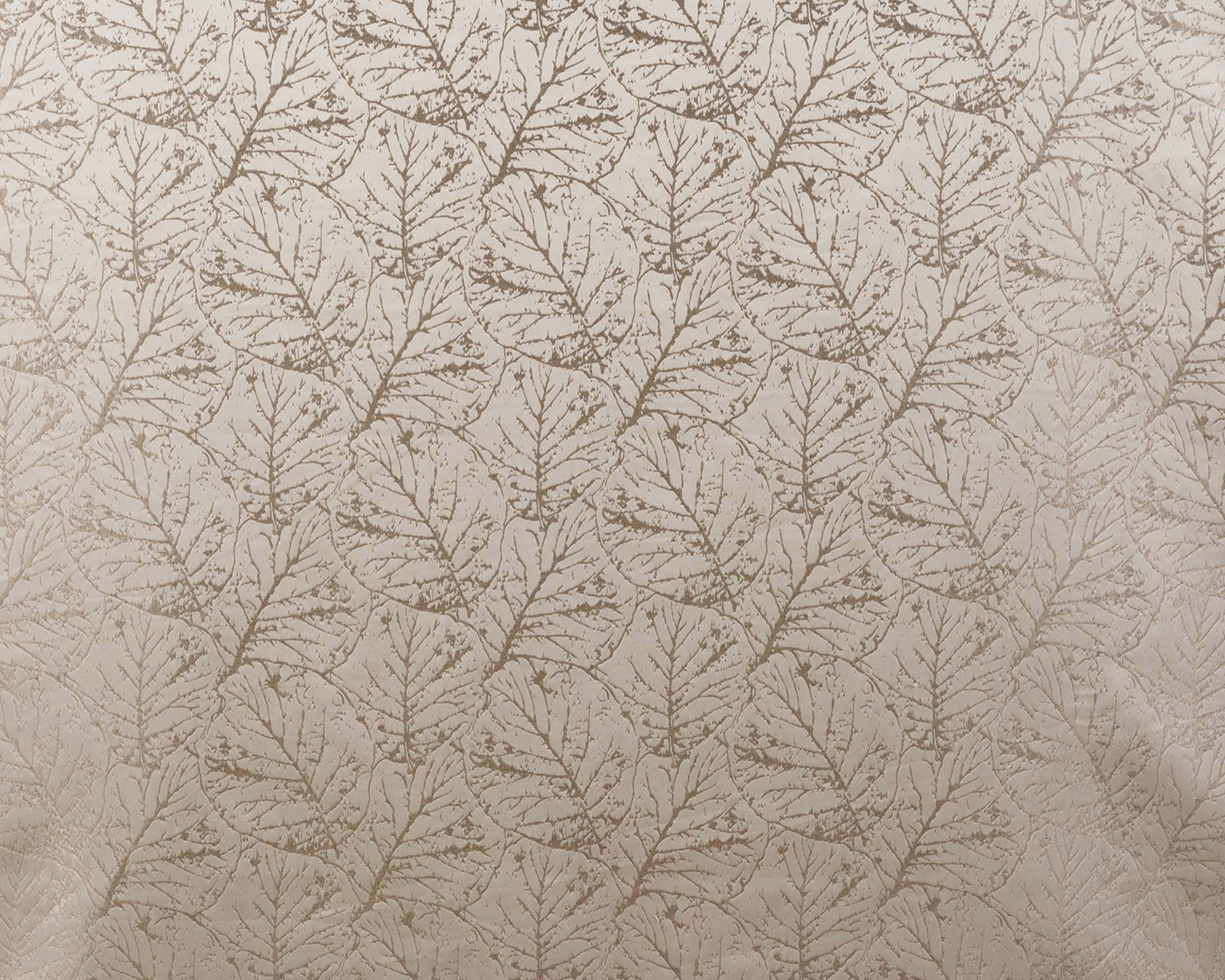 Elm Wheat