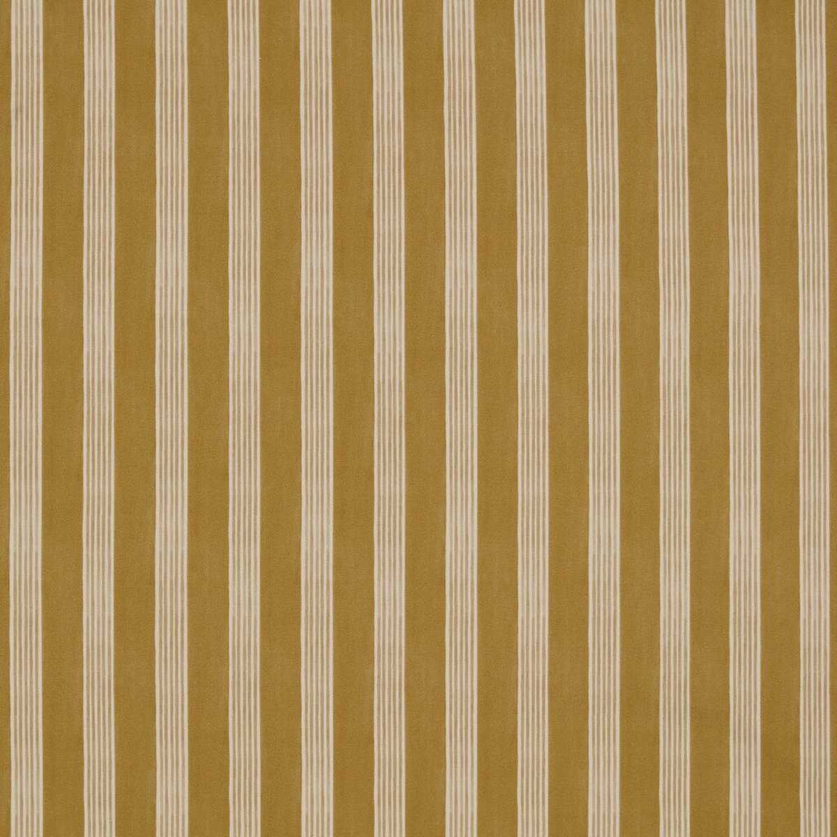 Flossy Ochre