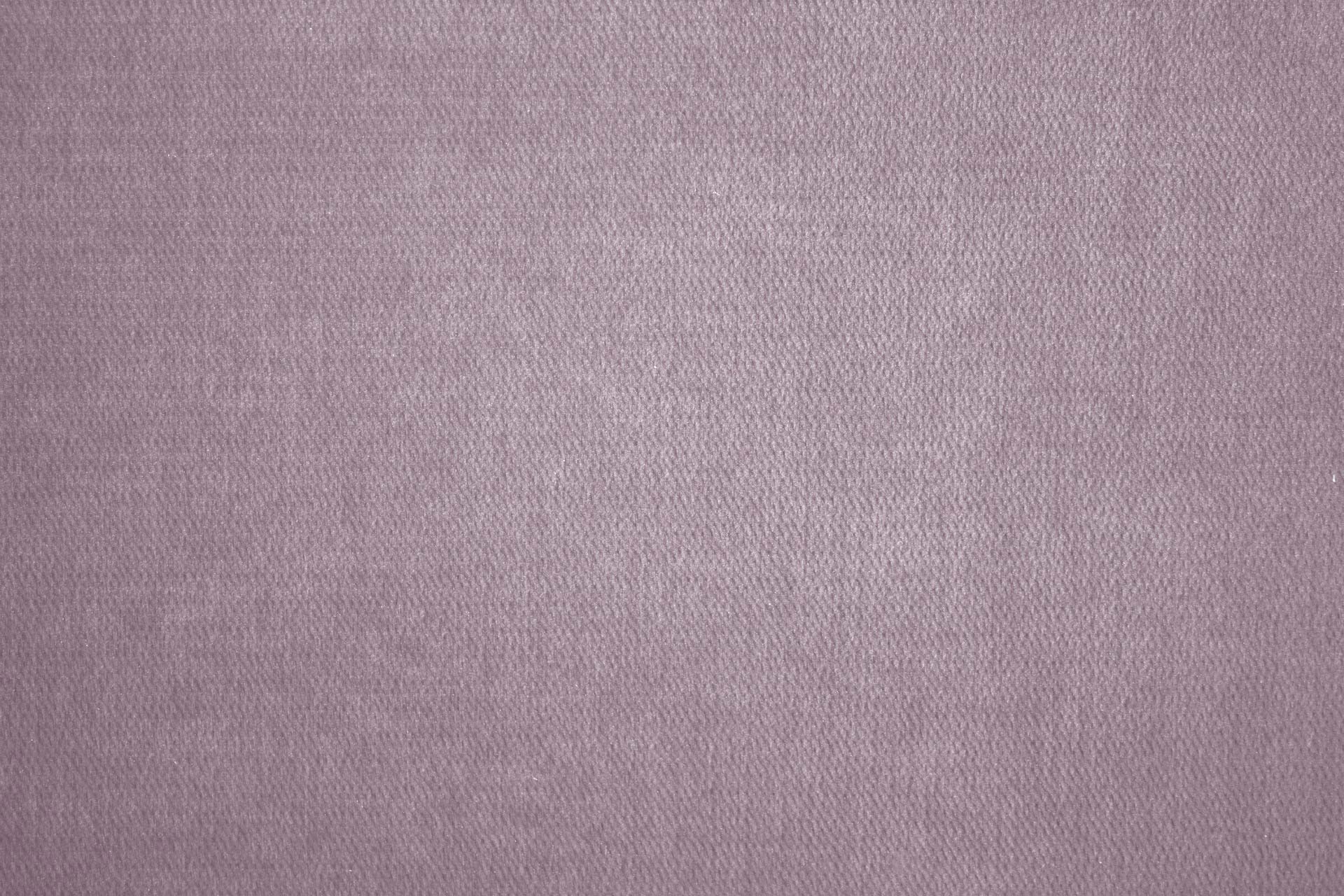 Galadriel Lavender