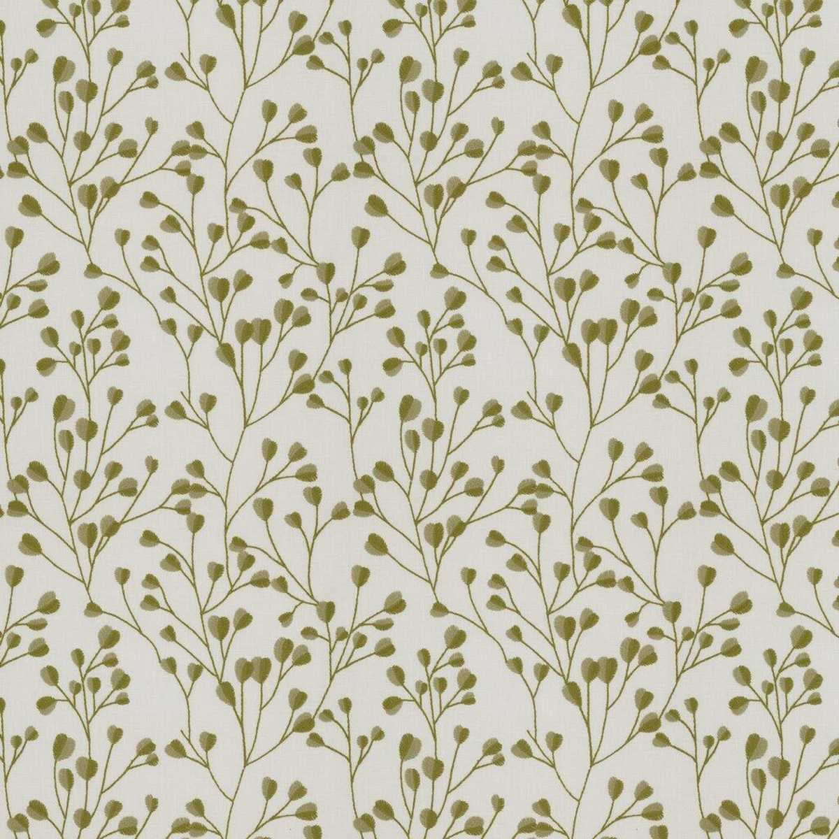 Kamilla Olive