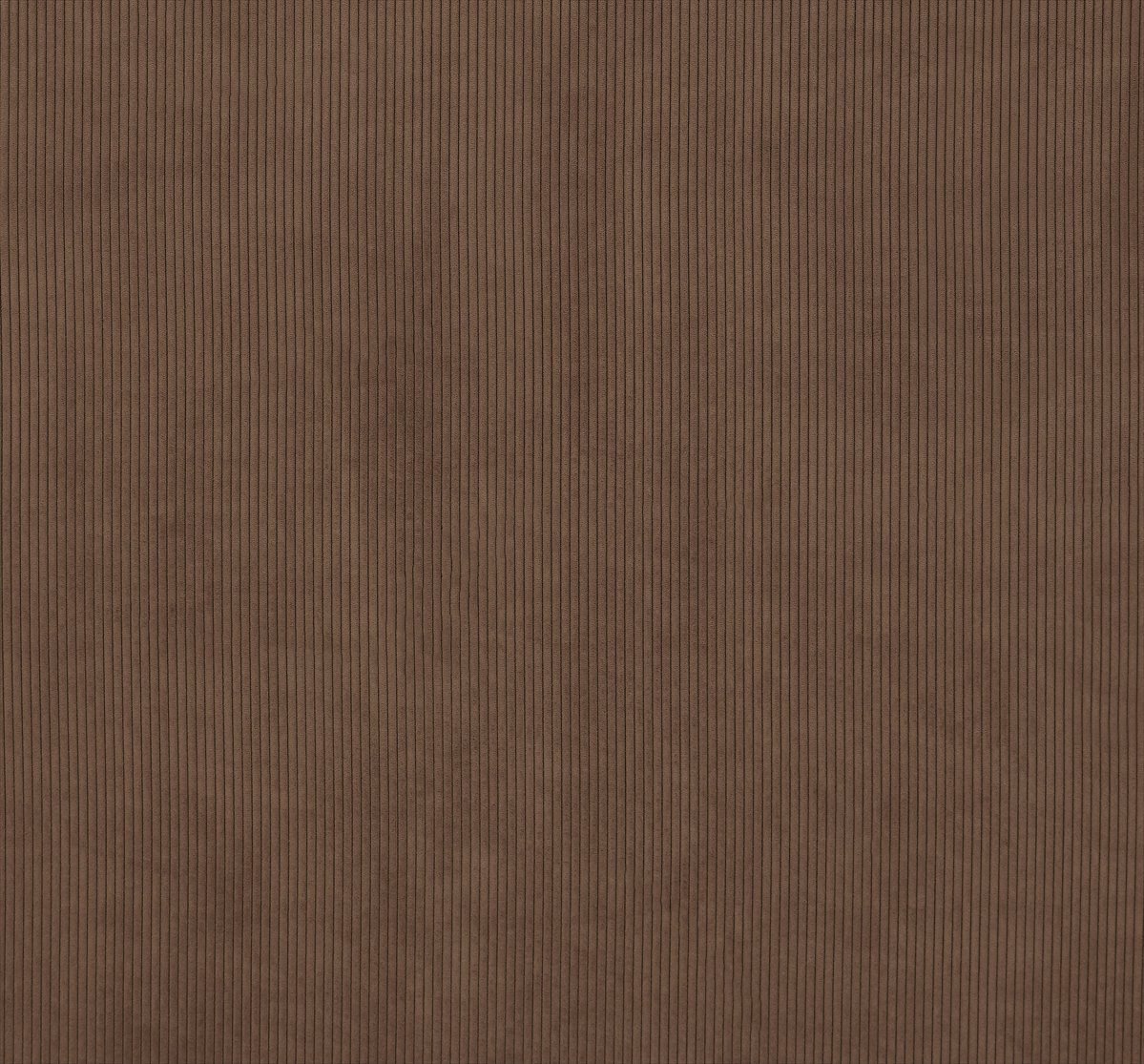 Lucio Cognac