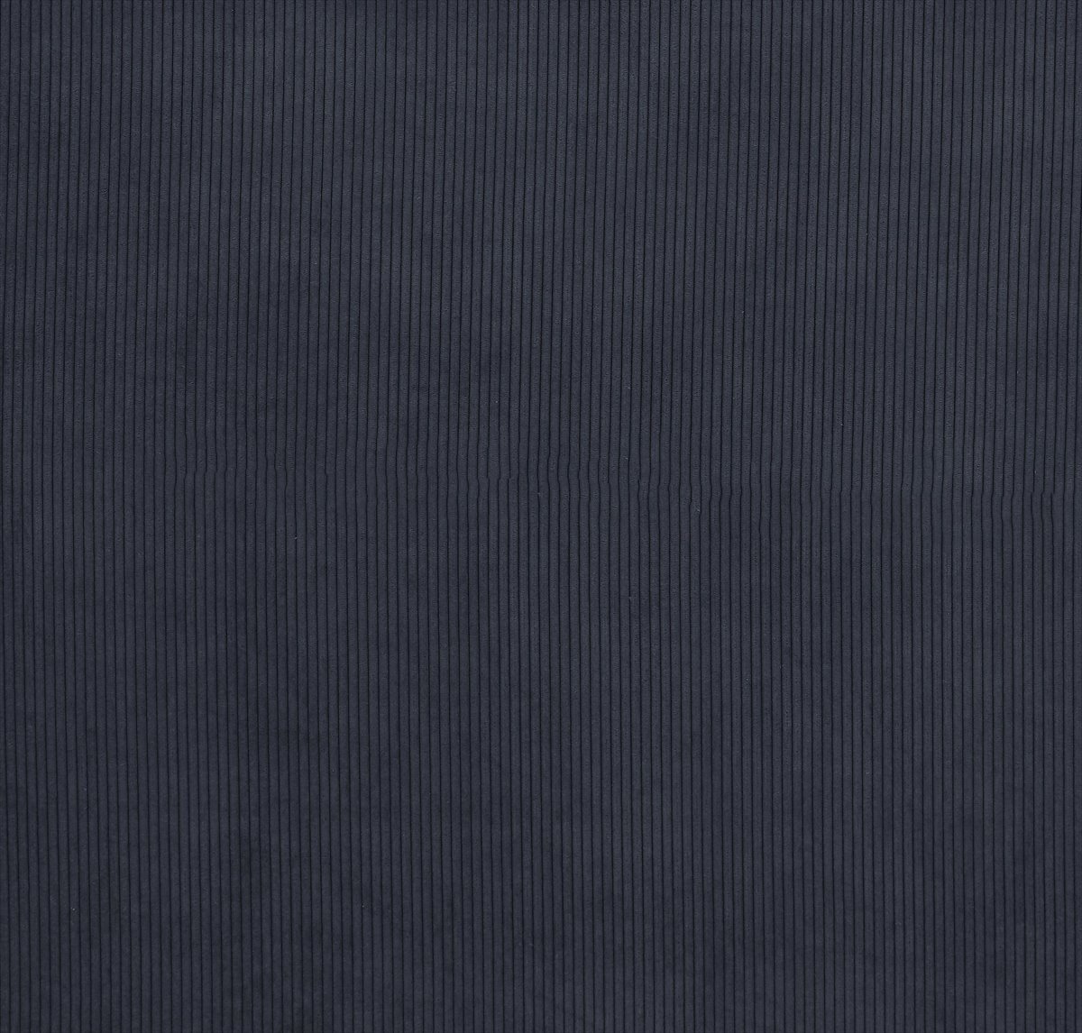 Lucio Navy