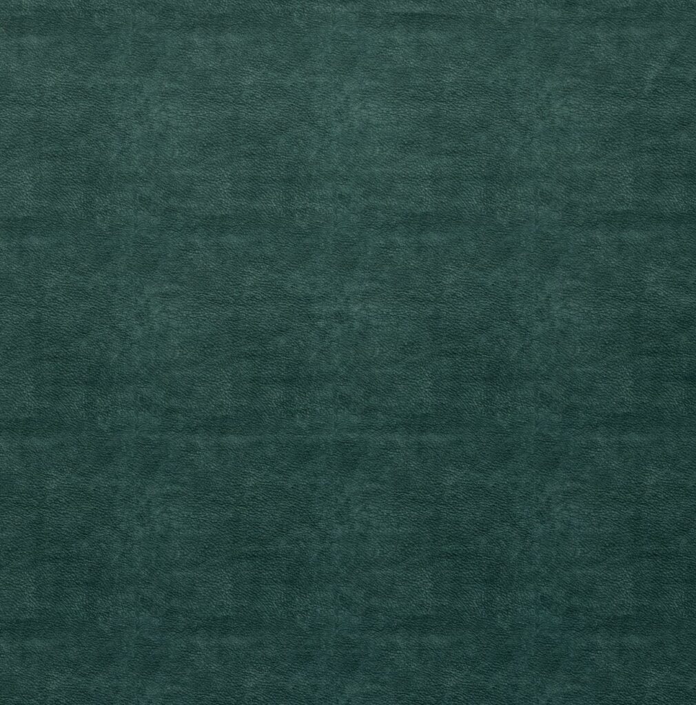 Marina Teal
