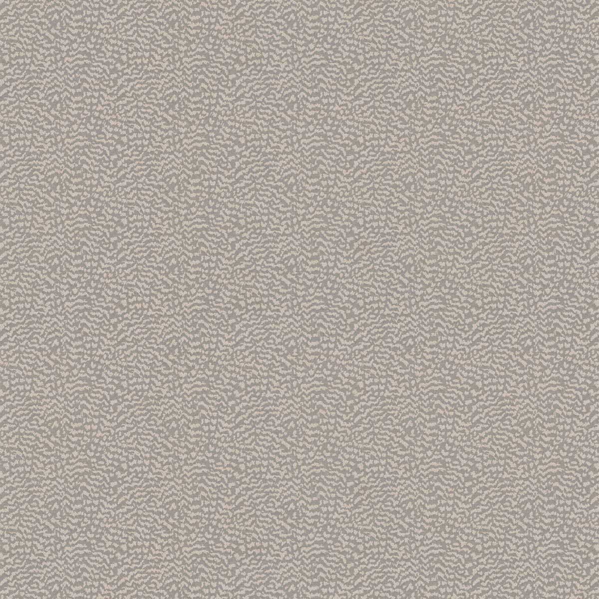 Ontario Dove