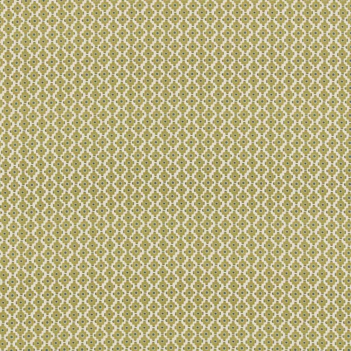 Rory Pistachio