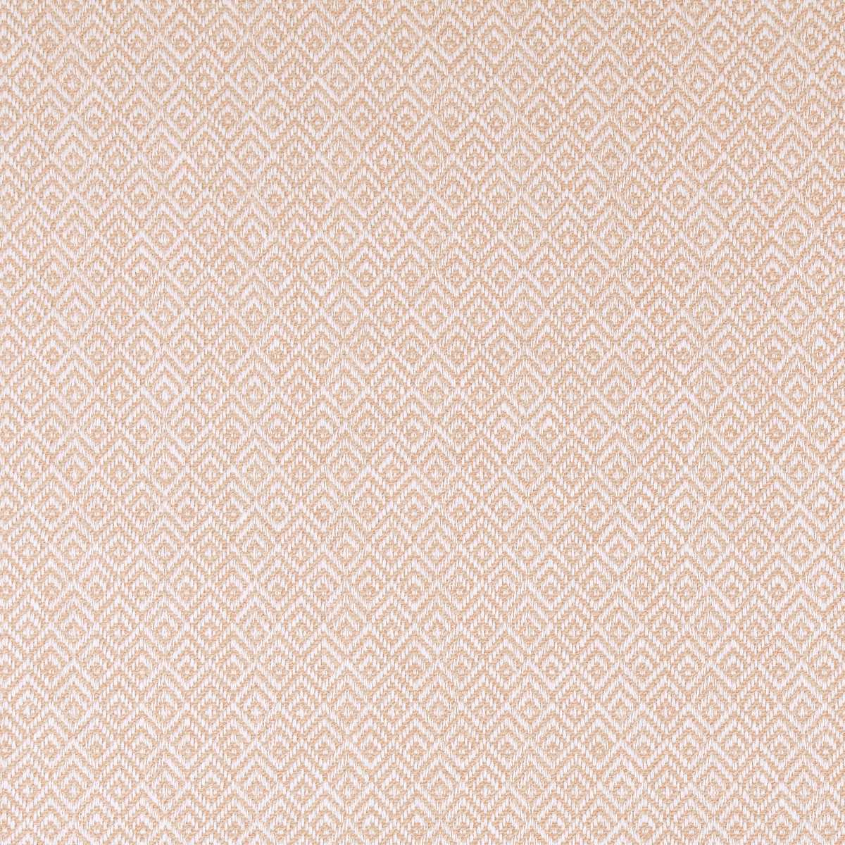 Tilly Blush