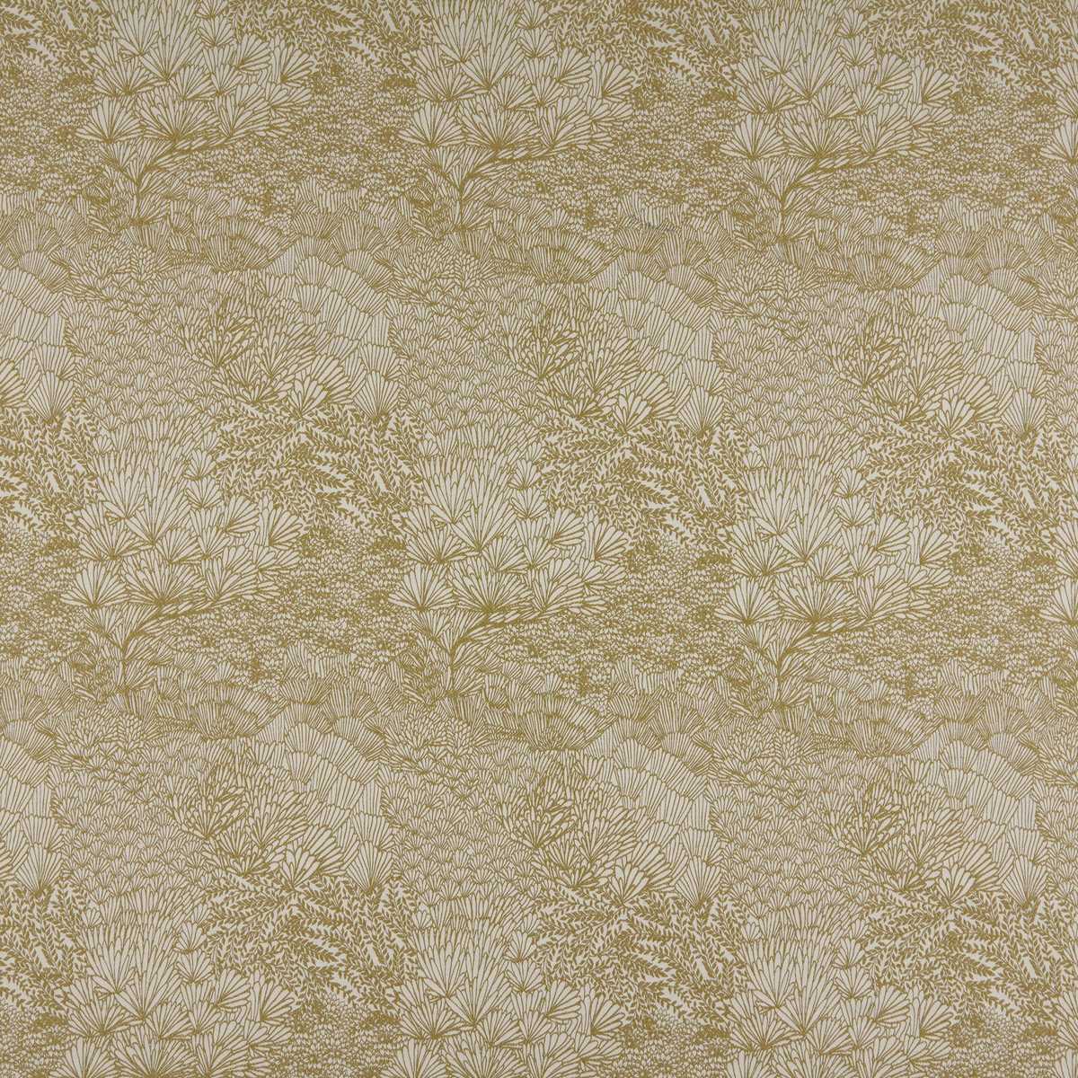 Valloni Ochre