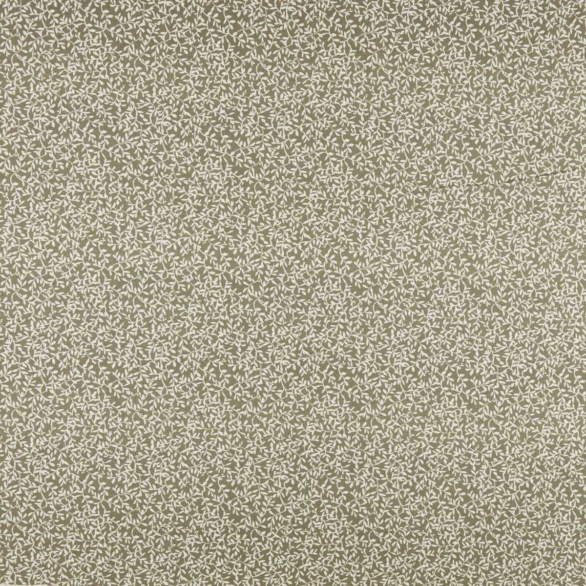 Villette Oregano
