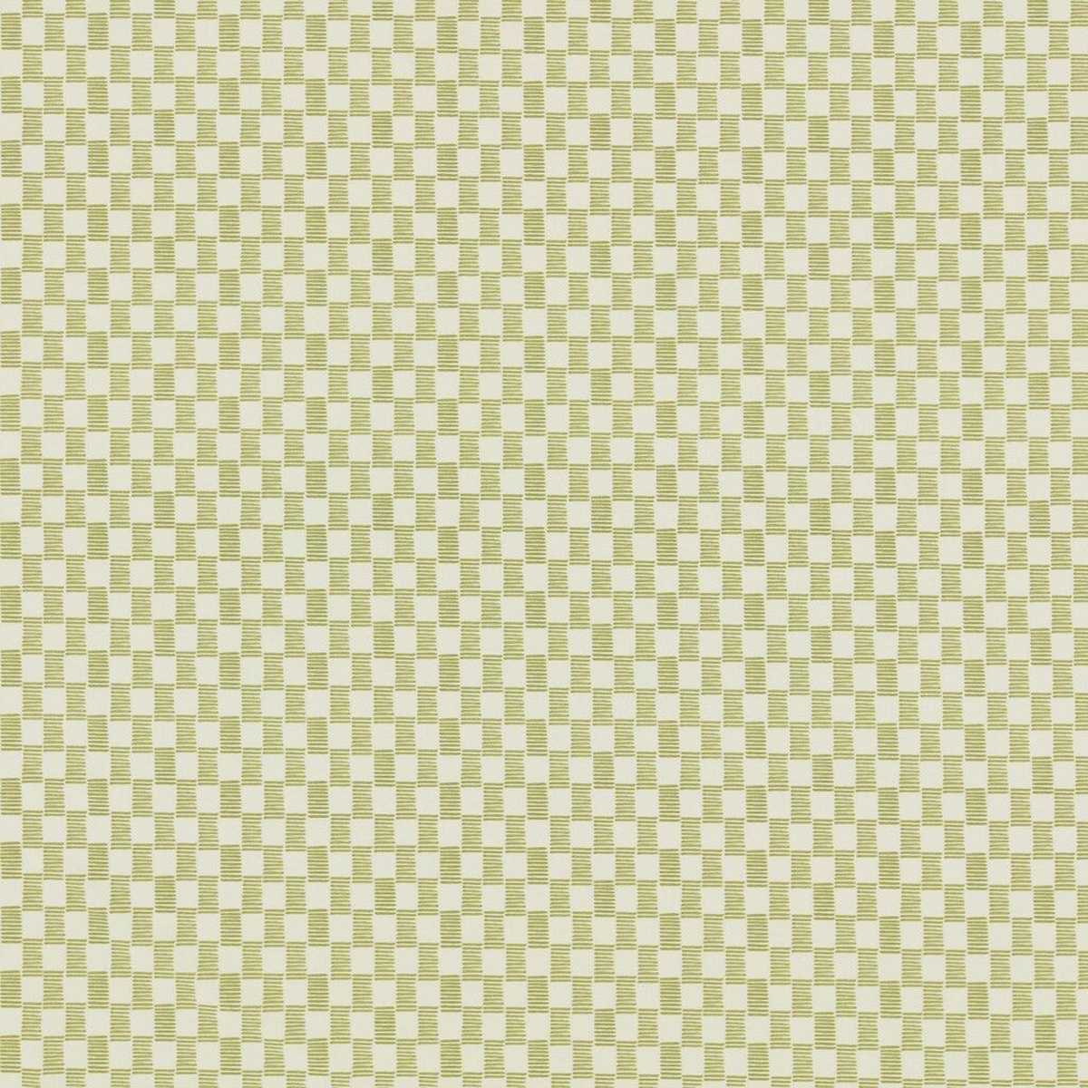 Zoe Pistachio