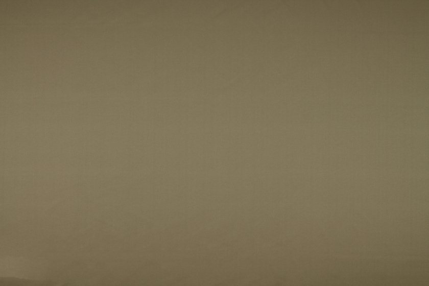 Asina Latte
